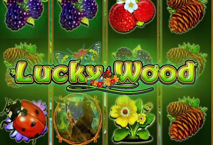 Comparison of best online slots offering free spins and bonus rounds.